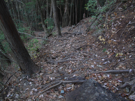 20171116hike (383)